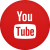 ვიდეოს ჩამოტვირთვა